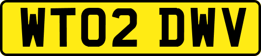 WT02DWV