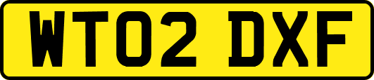 WT02DXF