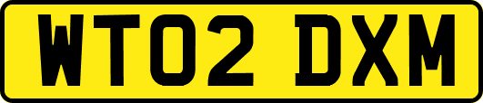 WT02DXM