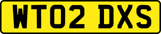 WT02DXS
