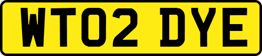 WT02DYE