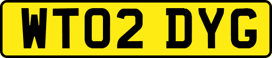 WT02DYG