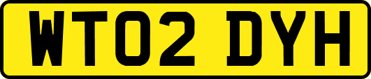 WT02DYH