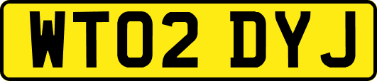 WT02DYJ