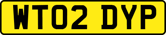 WT02DYP