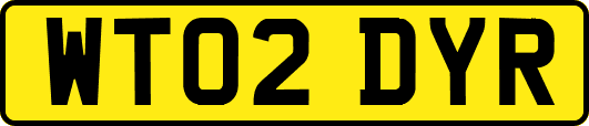 WT02DYR