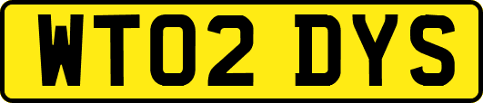 WT02DYS