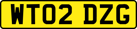 WT02DZG