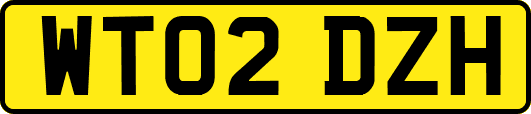 WT02DZH