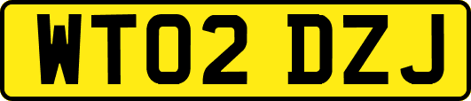 WT02DZJ