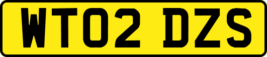 WT02DZS