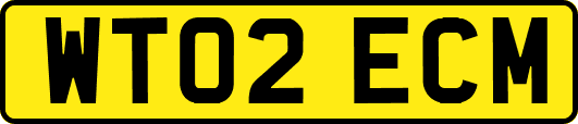 WT02ECM