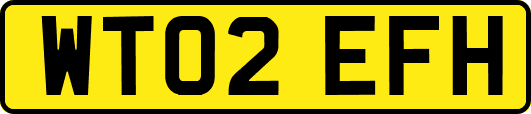 WT02EFH