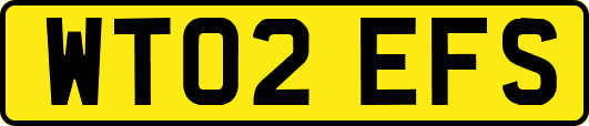 WT02EFS