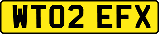 WT02EFX