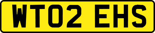 WT02EHS