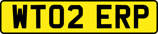 WT02ERP