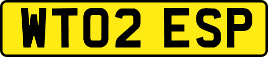 WT02ESP