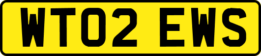 WT02EWS