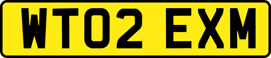 WT02EXM