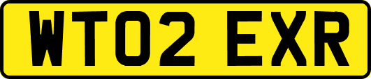 WT02EXR