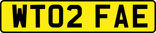 WT02FAE