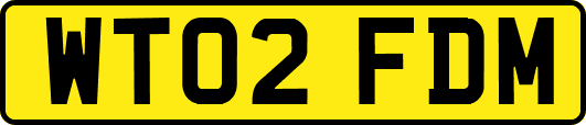 WT02FDM