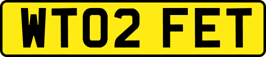 WT02FET