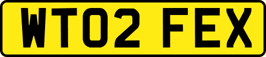 WT02FEX
