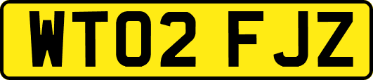 WT02FJZ