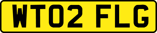 WT02FLG