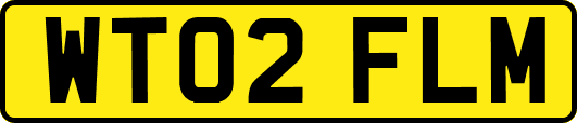 WT02FLM