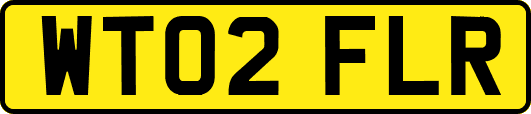 WT02FLR