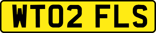 WT02FLS