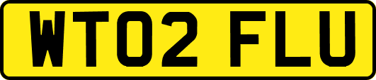 WT02FLU