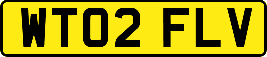 WT02FLV
