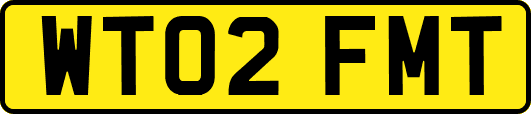 WT02FMT