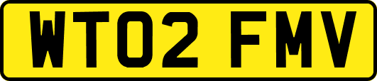 WT02FMV