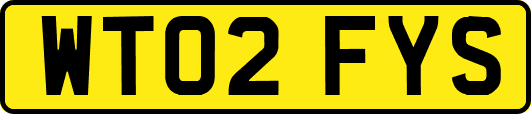 WT02FYS