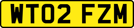 WT02FZM