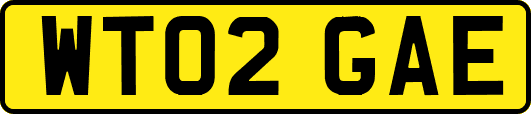 WT02GAE