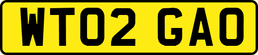 WT02GAO