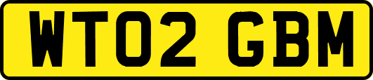 WT02GBM