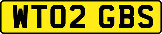 WT02GBS