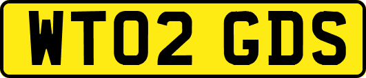 WT02GDS
