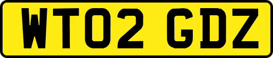 WT02GDZ