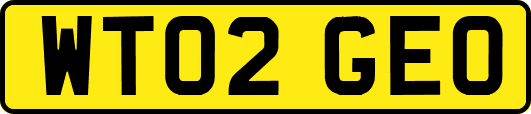 WT02GEO