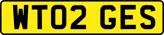 WT02GES