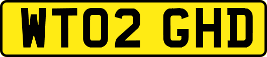 WT02GHD