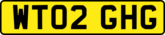 WT02GHG